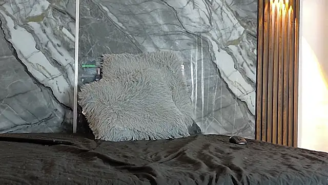 axsus_ webcam