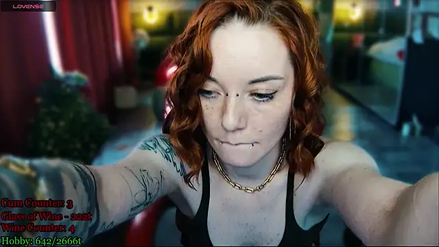 MaxPhoenixx webcam