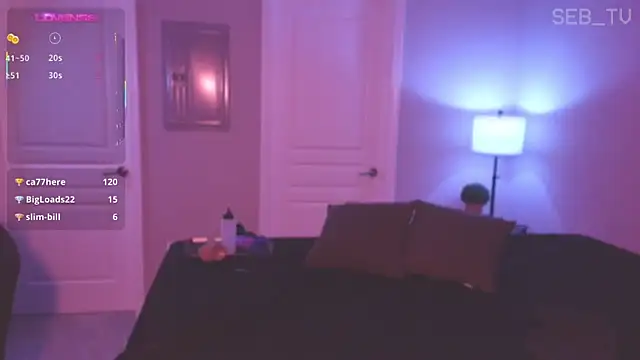 seb_tv webcam