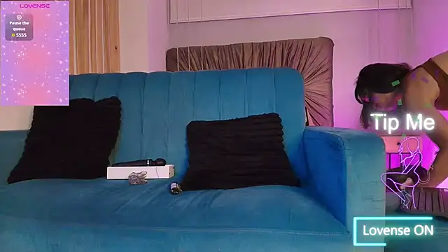 Dakashyten webcam