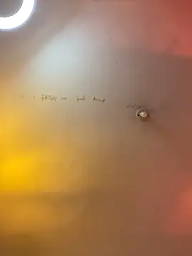 camilafoox7 webcam