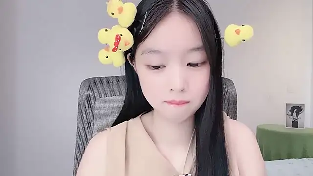 Yoyo33355 webcam