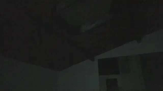 laylavg webcam