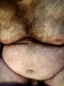 big__bearrr webcam