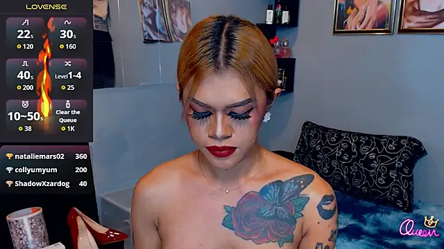 StellaStrong30 webcam