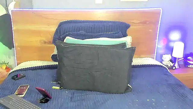 Prometeo-grizzly webcam