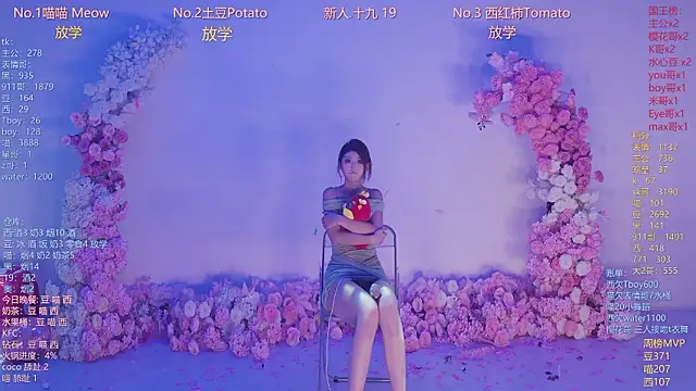 SSF-888 webcam