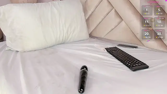 KaelSoft_ webcam