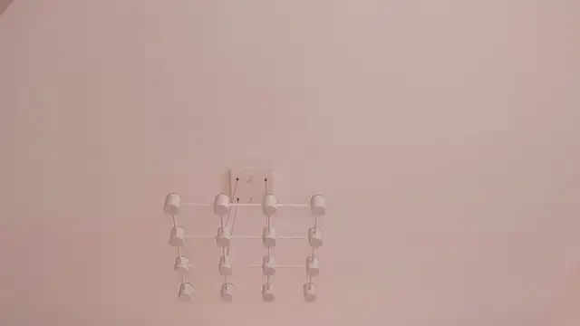 AikoSora webcam