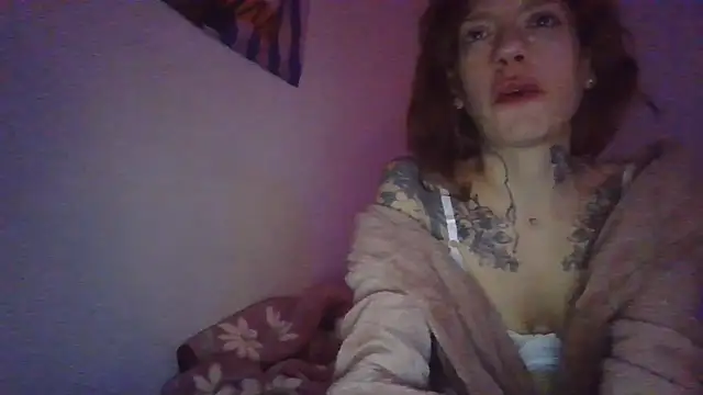 simechasi webcam