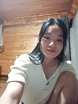 Td3di webcam