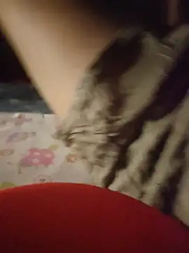 -Tara-a webcam