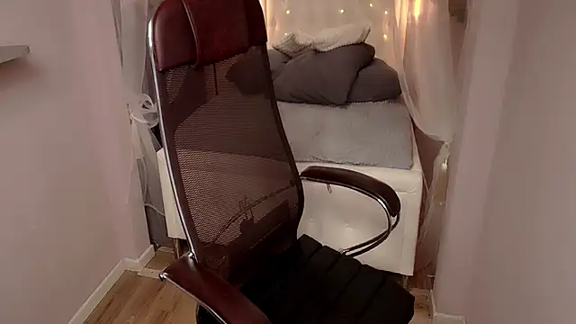 Karen_Villis