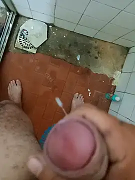 RDbruto webcam
