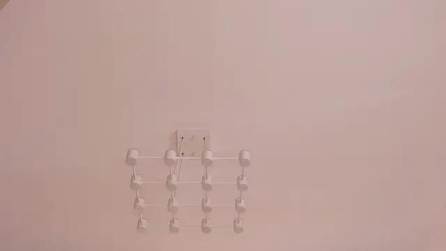 AikoSora webcam