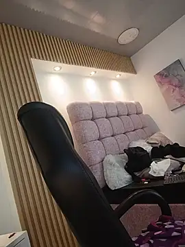 1Sloppy_Fox4 webcam