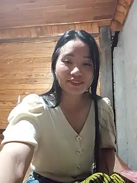 Td3di webcam