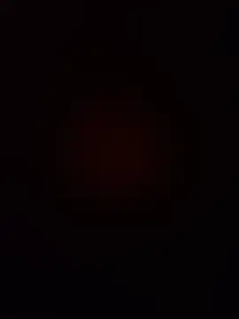 sldoni webcam