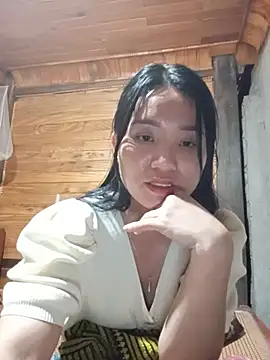 Td3di webcam