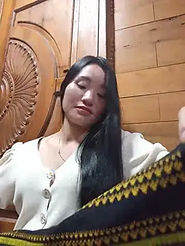 Td3di webcam