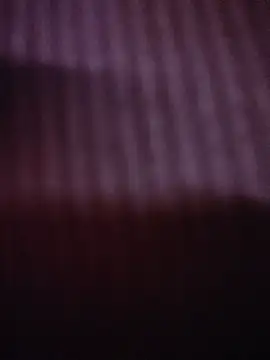 -Tara-a webcam