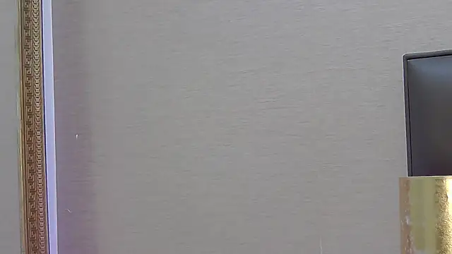 FoxyJoy webcam
