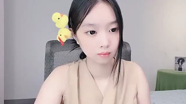 Yoyo33355 webcam