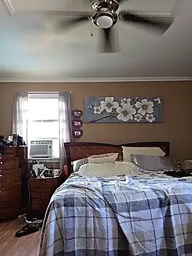 Cockrub1 webcam