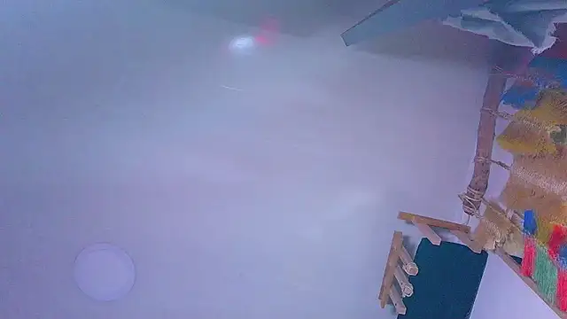 the_dog_lian webcam