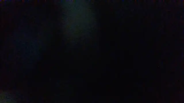 panda_06200 webcam