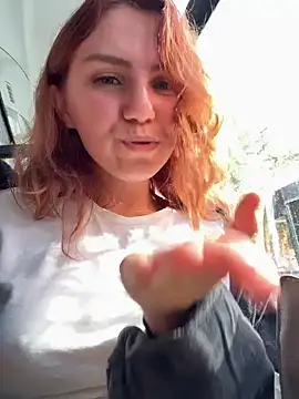 -stray-cat- webcam