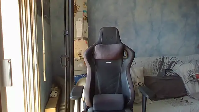 panda_06200 webcam
