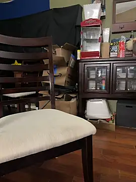 paddedcub82 webcam