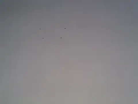 freaky_mavin webcam