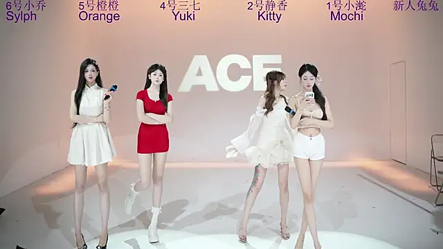 ACE-101 webcam