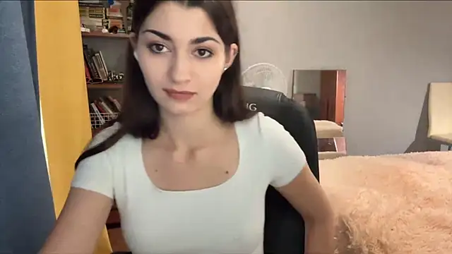 SlyArete webcam