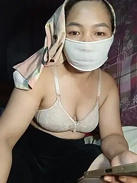 Hiha-nn webcam