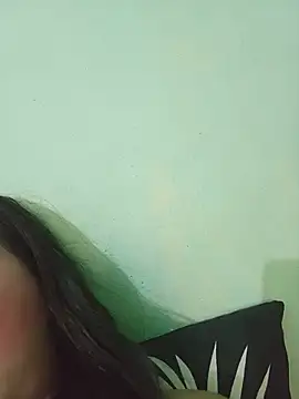 Demilame webcam