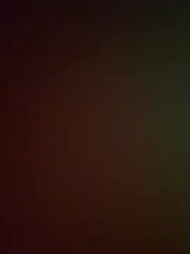 DarkfleX webcam