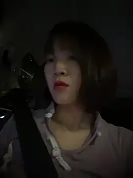 littleqiu webcam