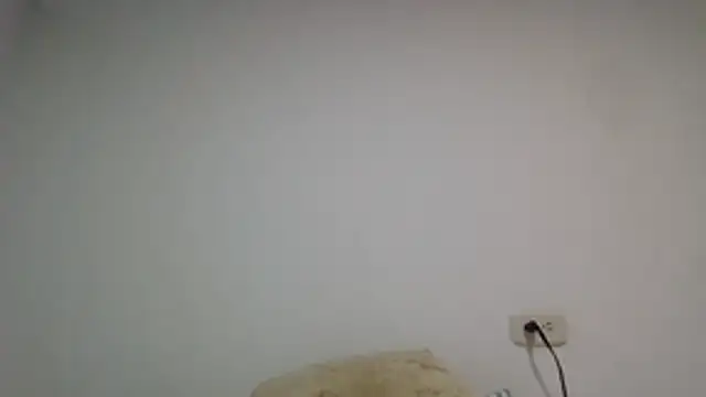 squirtlatinx webcam