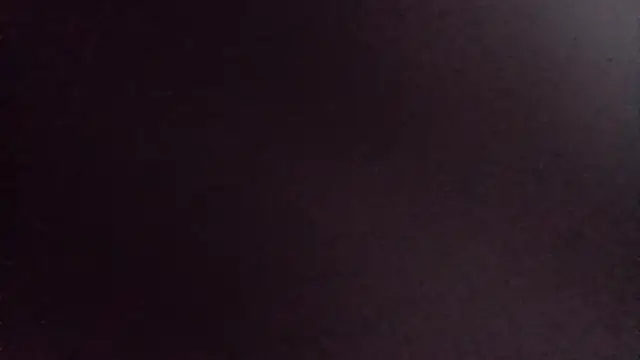 carldhammers webcam