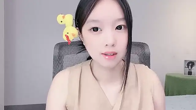 Yoyo33355 webcam