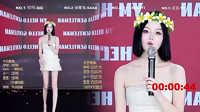 TY-002 webcam