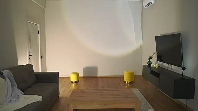 AdaBell webcam