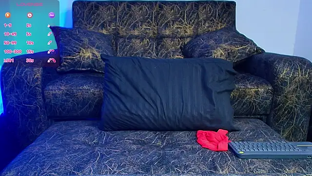 BrayaanFit webcam