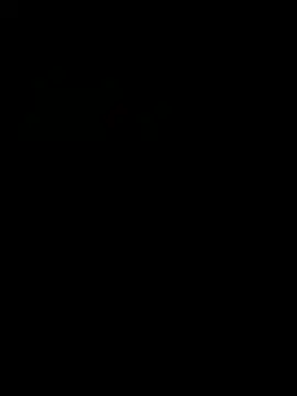 Bajbus405b webcam