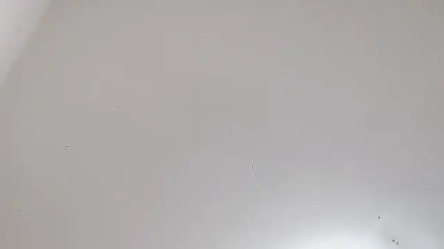 xiaojie2563 webcam