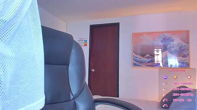 RJBarto webcam