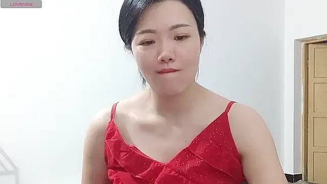 Nikishine webcam